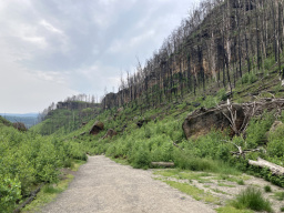 Pravčická brána / Prebischtor